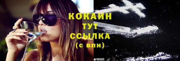 стафф Аркадак