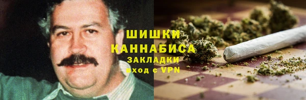 стафф Аркадак