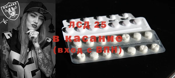 стафф Аркадак