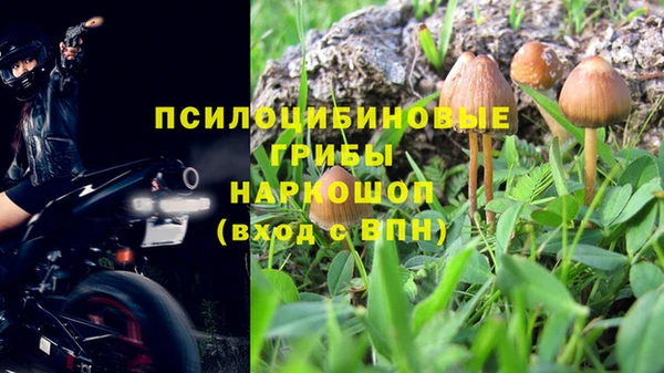 стафф Аркадак