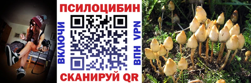 Купить где  Новохопёрск  Галлюциногенные грибы GOLDEN TEACHER 