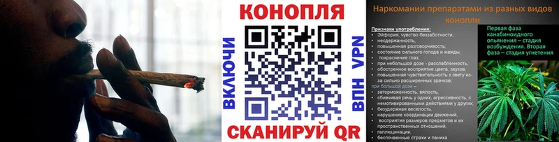 Бошки Шишки сатива Новохопёрск